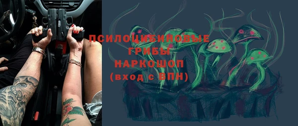 твердый Алексин