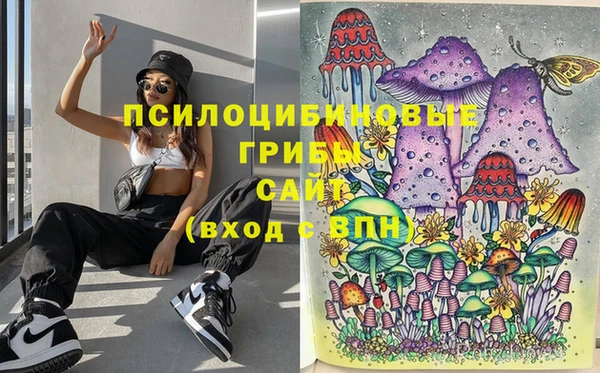 бутират Алексеевка